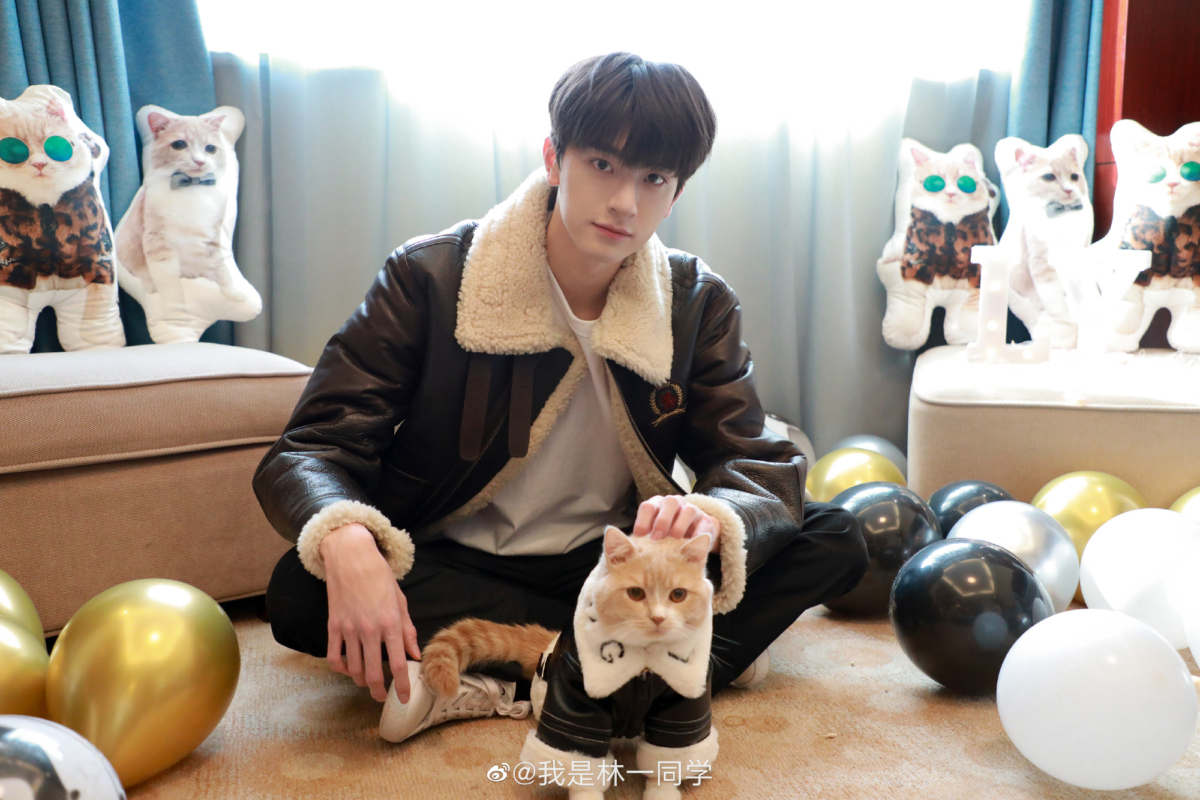 林一得意曬出愛貓，對貓貓相當寵溺。