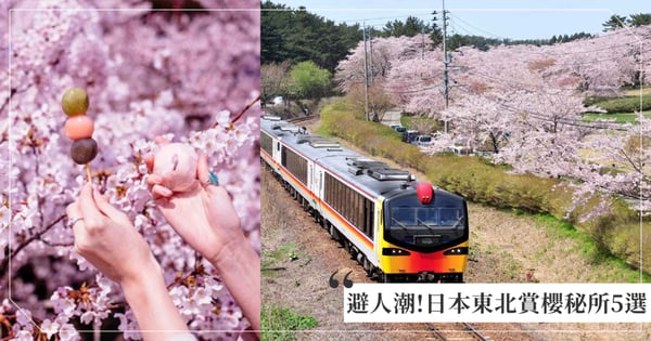 還沒爆紅的日本東北賞櫻秘所5選！秋田「君待坂公園」戀人聖地，多寶院「小銀閣寺」櫻花絕美！
