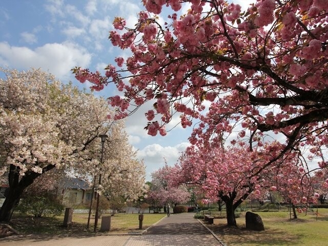 【栃木】天平之丘公園