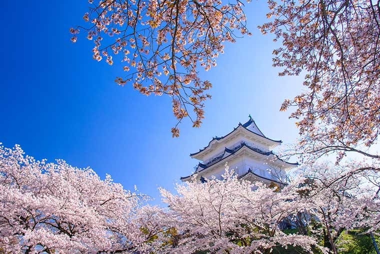 【神奈川】小田原城址公園