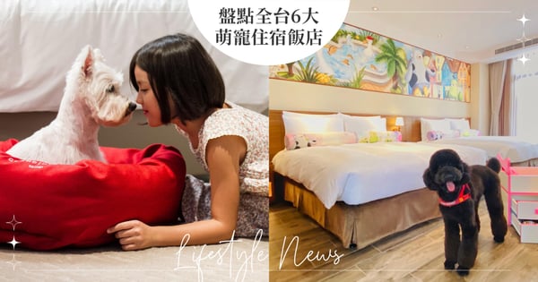 「台版迪士尼」寵物溫馨家庭房超夯！盤點全台6大萌寵住宿飯店，台北六福萬怡酒店歡迎主人帶上兔子、烏龜幸福入住！