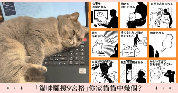 你家貓貓中了幾個?漫畫家分享「貓咪騷擾9宮格」引百萬人共鳴,貓奴網友狂曬照證實「正在被騷擾中」XD
