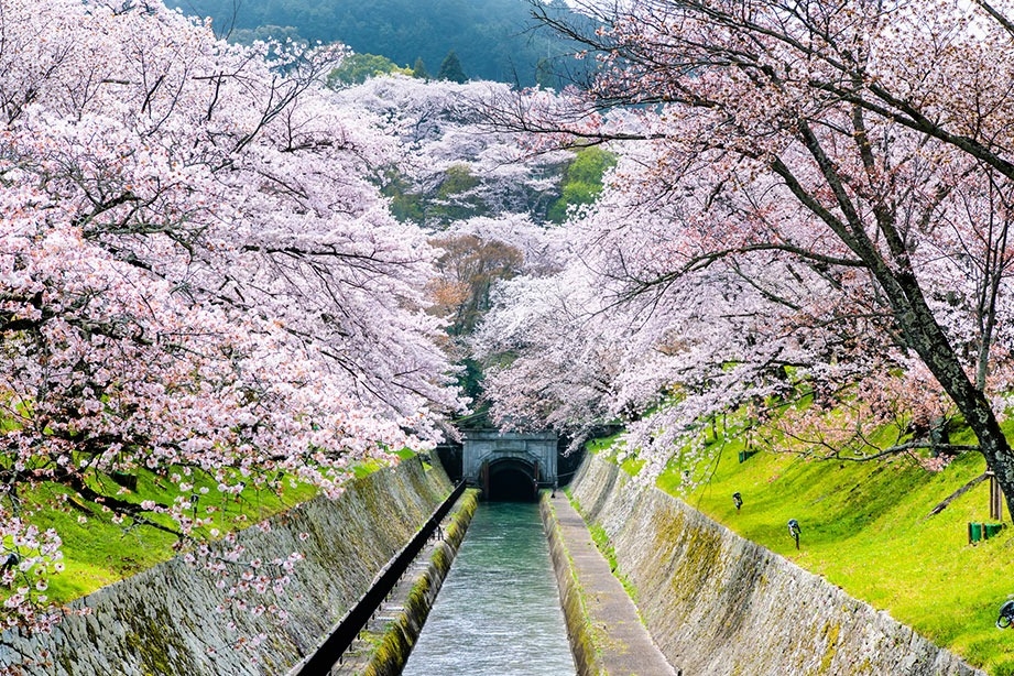 【滋賀】琵琶湖疏水