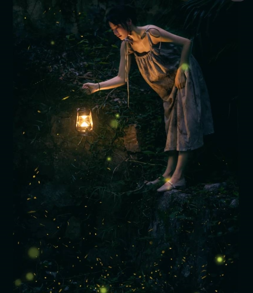 賞螢是夏季一大風雅盛事。