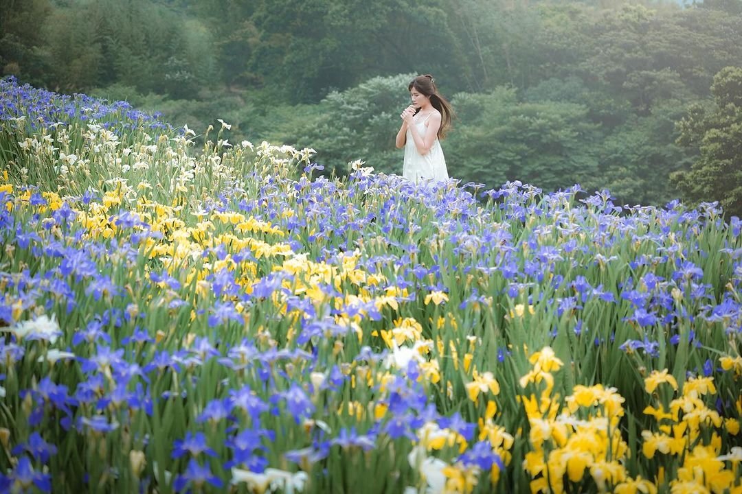 想當小仙女就到嵩山梯田來氣質美拍吧!