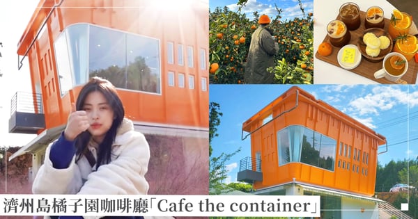 巨可愛!韓國濟州島特色咖啡廳「Cafe the container」柑橘摘到飽,連ITZY留真都去過!