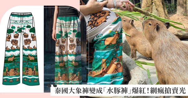 泰國動物園把大象褲變成「水豚褲」爆紅！滿滿的「卡皮巴拉」穿在身上萌度爆表，網瘋搶秒賣光