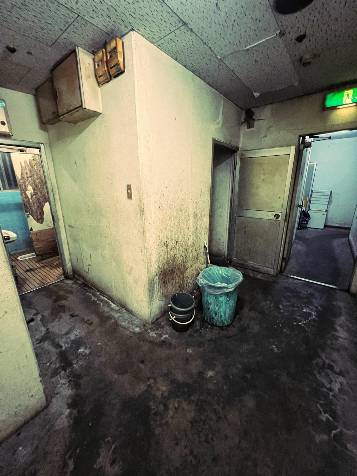 230元台幣一晚的旅館,早晨時的模樣