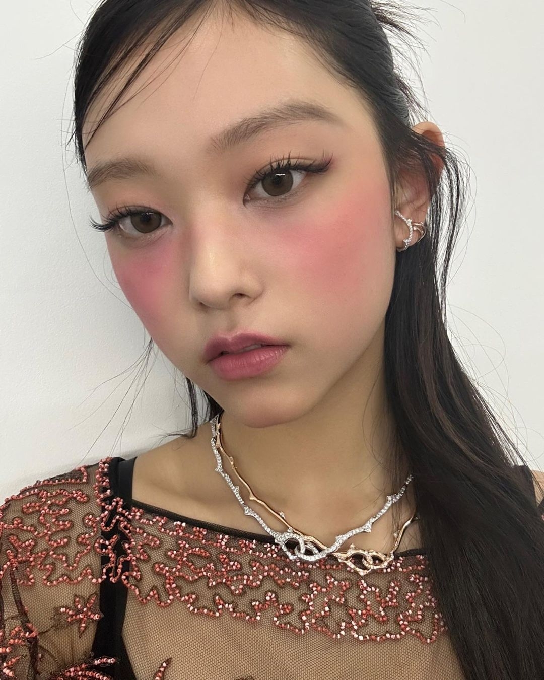 姜諧潾Haerin私底下其實養狗