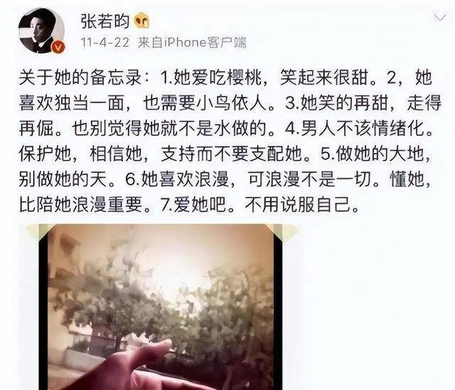 張若昀「關於她的備忘錄」全文。