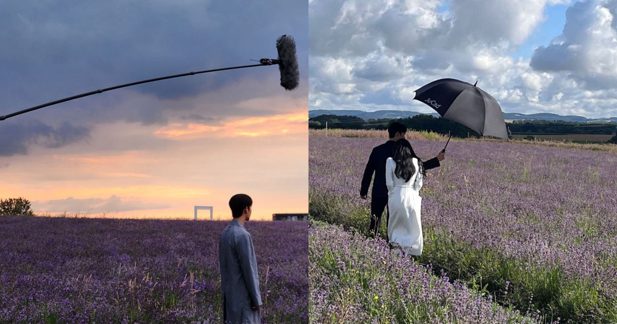 金秀賢在IG曬出與金智媛在薰衣草園中的拍攝場景