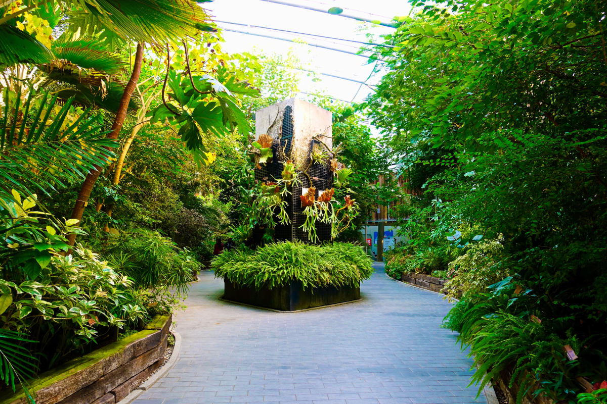 免門票隱藏版景點:台北典藏植物園