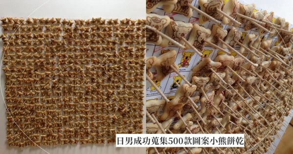 日本男子成功蒐集500款圖案小熊餅乾！全都刺在牆壁上展示，網膜拜：吃飽太閒的神人（笑）