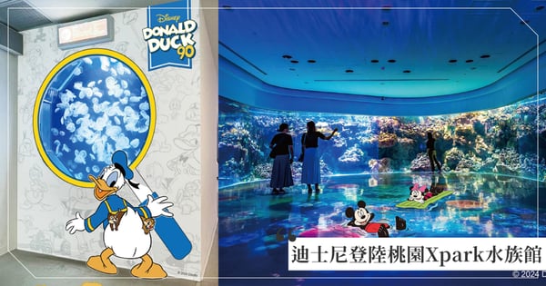 桃園Xpark水族館2024今夏聯名迪士尼！慶祝唐老鴨90歲生日，特設10個派對超可愛打卡點！