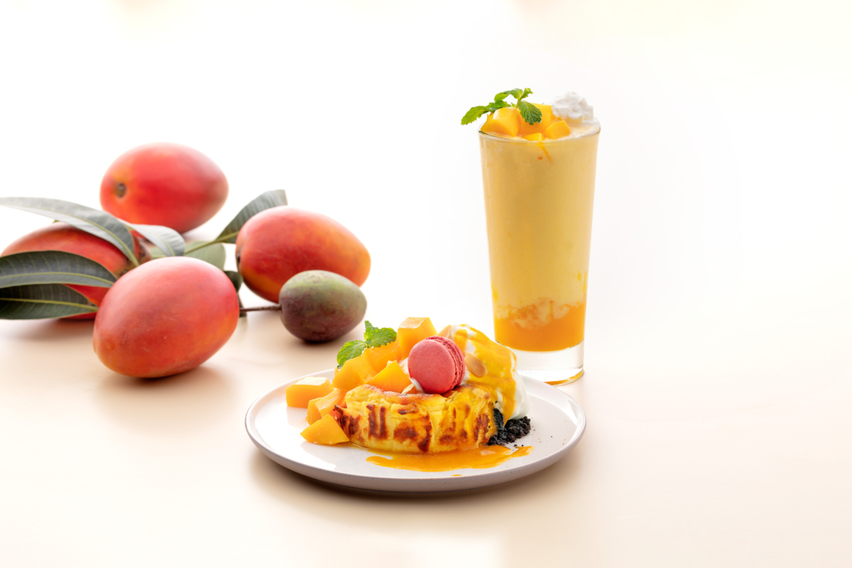 BELLINI PASTA PASTA 芒果軟心巴斯克起司蛋糕+鮮芒果優格奶昔