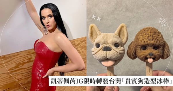 台灣冰品大紅了！超可愛逼真「貴賓狗造型冰棒」凱蒂佩芮轉發分享，網友：「再來開演唱會就可以吃到！」