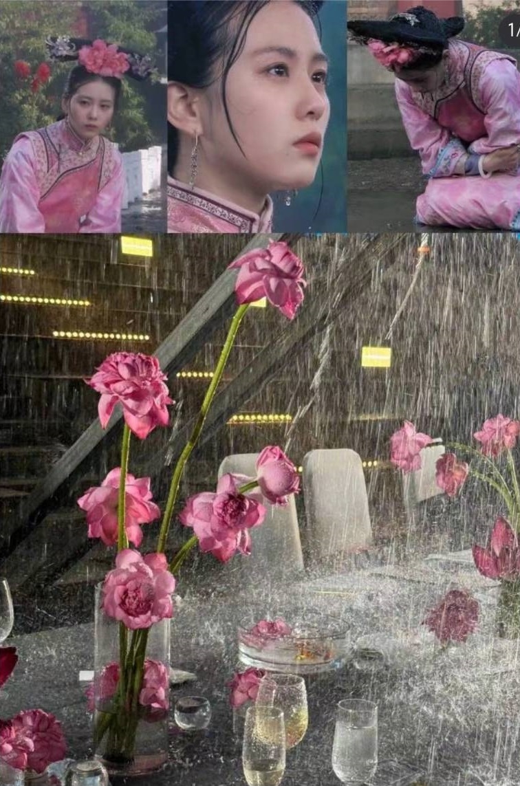 「若曦」與「雨打荷花」淒美動人。