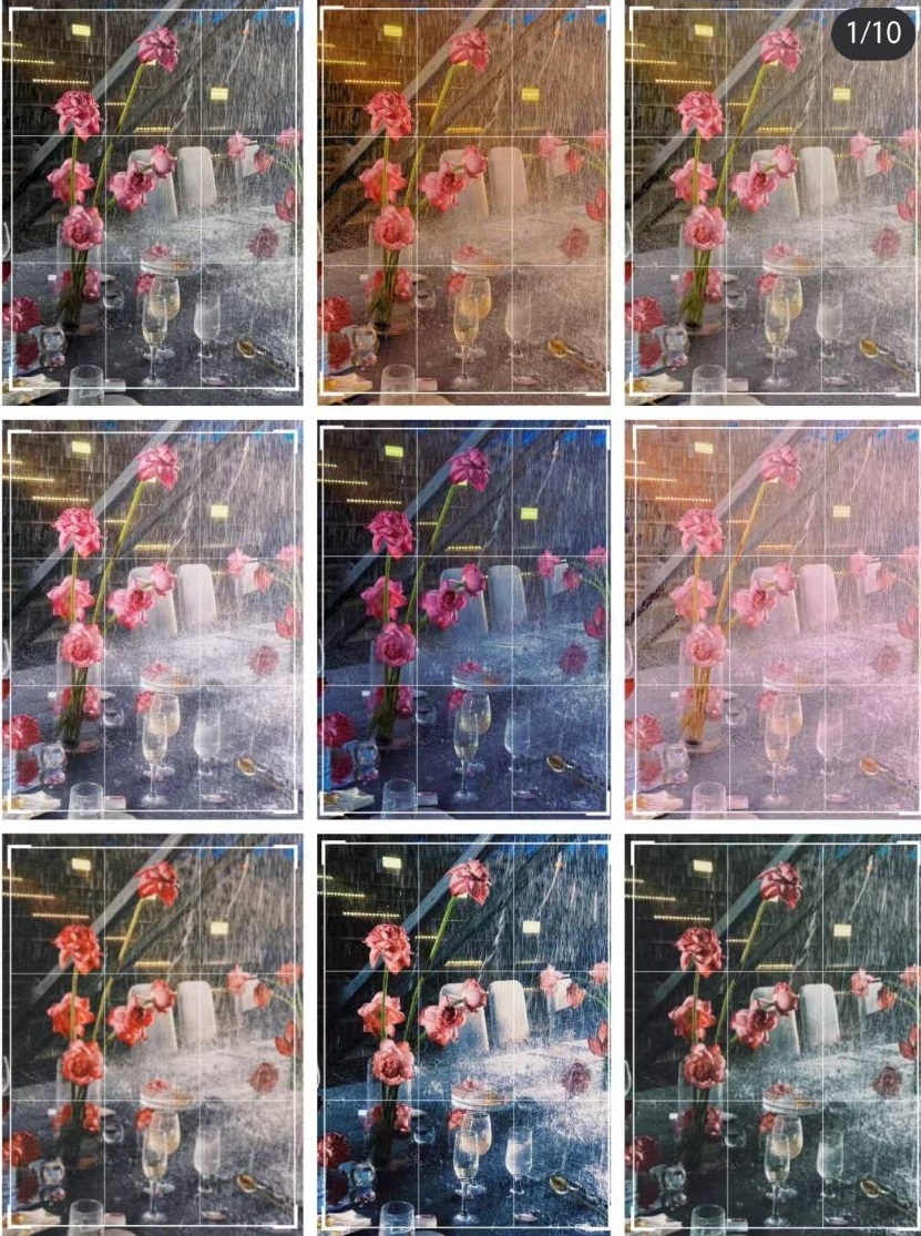 各個版本的「雨打荷花」。