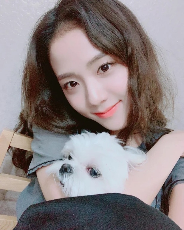 BLACKPINK Jisoo馬爾濟斯愛犬Dalgom模樣超萌。