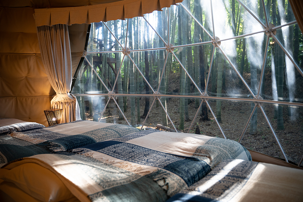 從帳篷往外看去光線傾瀉而下，與竹林交織成光燦美景。