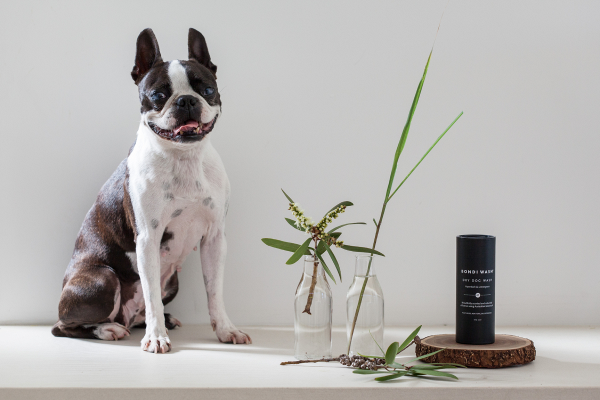 BONDI WASH 白千層及檸檬草狗狗乾洗粉 100g,NT$500
