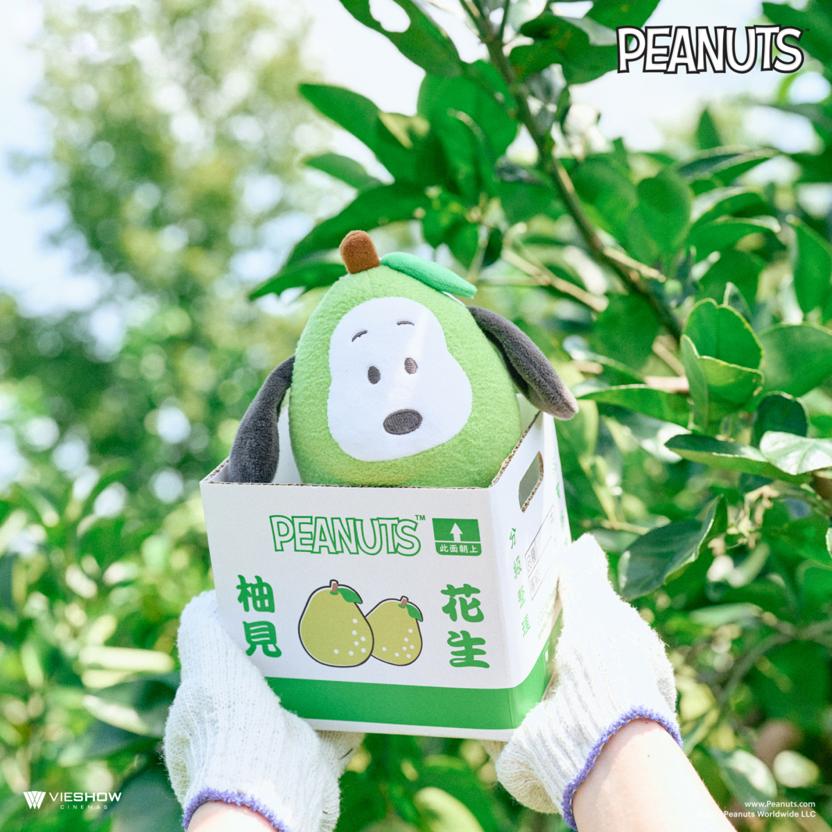柚子史努比Q版娃娃超可愛