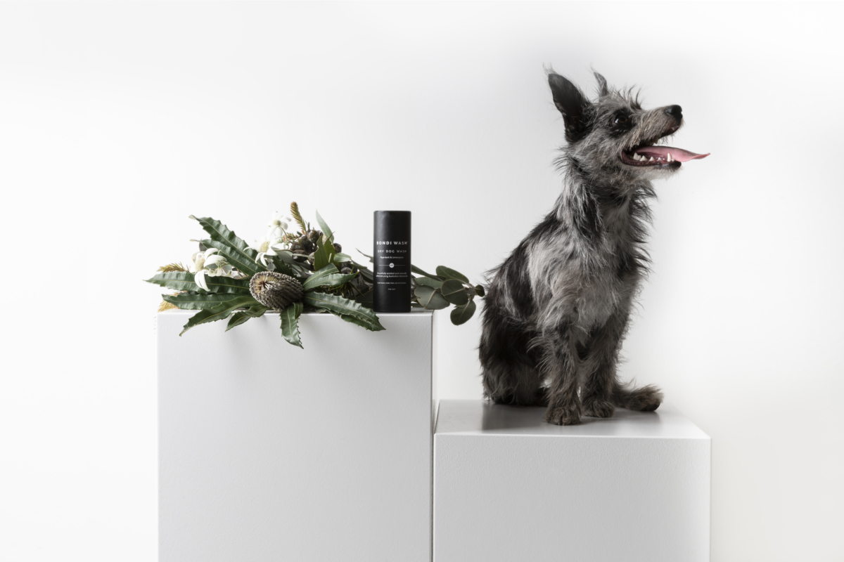 BONDI WASH 白千層及檸檬草狗狗乾洗粉 100g,NT$500