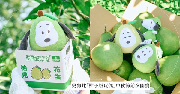 史努比「柚子版」來了！威秀影城「史努比中秋節」限定玩偶萌翻，8/30限量開賣！