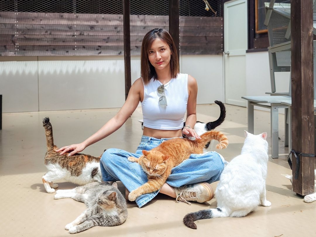 光臨貓貓親密接觸樂園，與美貓們共同玩樂，一連串行程豐富好玩！