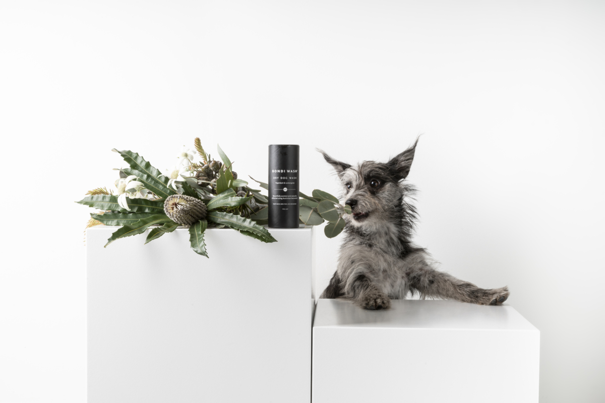 BONDI WASH 白千層及檸檬草狗狗乾洗粉 100g,NT$500