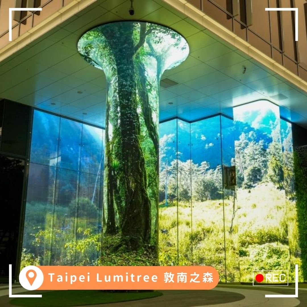 全台最大戶外光廊「敦南之森」