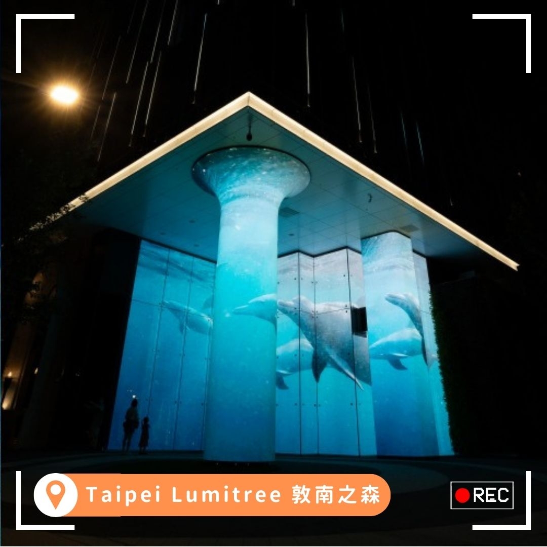 「敦南之森」每天早上8點至晚間9點播放