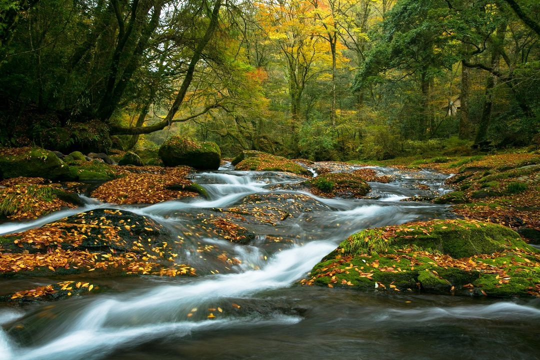 菊池溪谷秋天美景