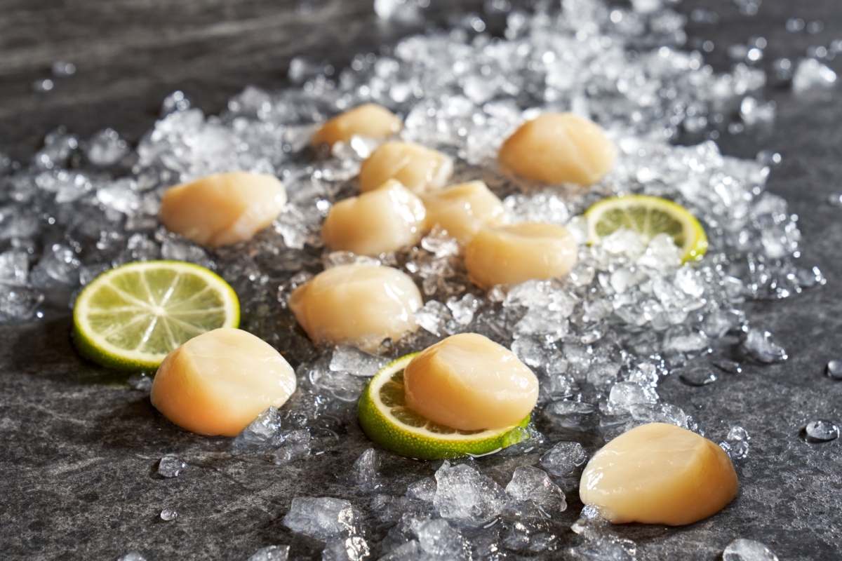 Buffet 敘日全日餐廳供應鮮嫩可口的干貝料理。