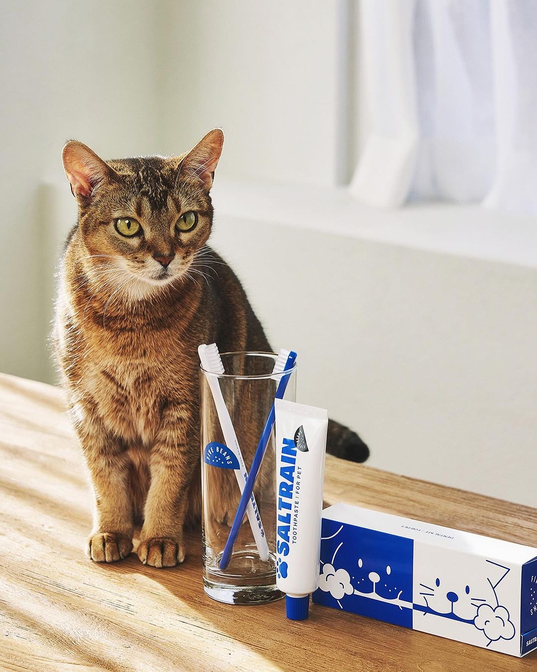SALTRAIN 寵物牙膏(70g)牙刷組 - 韓國烤肉風味(貓貓狗狗皆適用🐾)$390