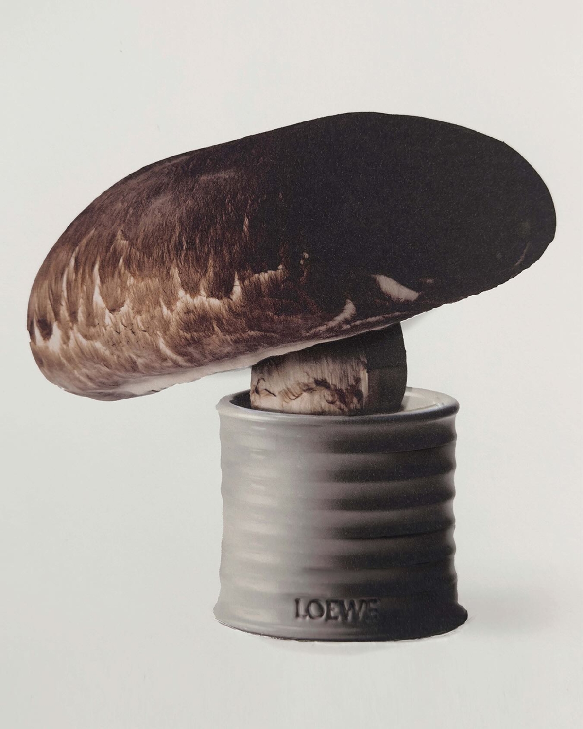LOEWE 蘑菇香氛蠟燭 170g NT$3,300 / 610g NT$8,400 / 2100g NT$18,700