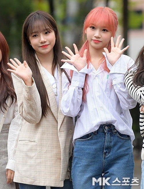 曹柔理與金采源