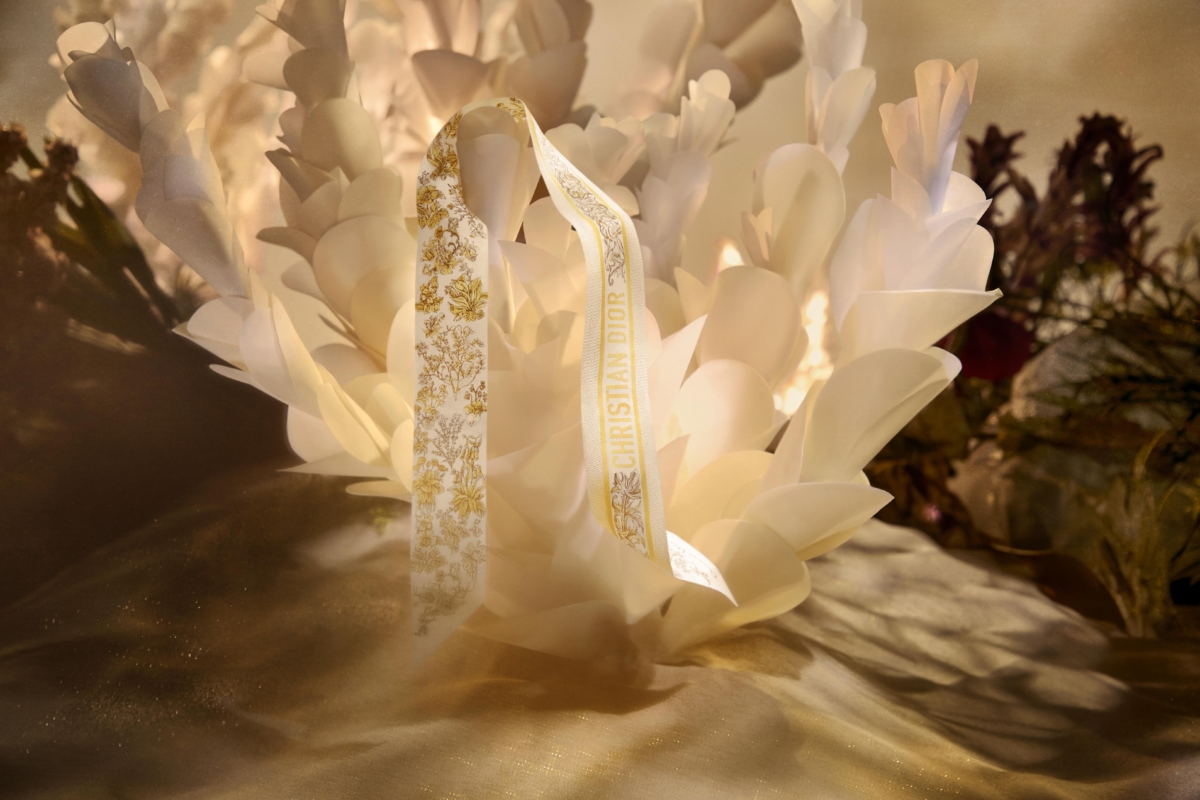 DIOR XMAS 2024 CAMPAIGN