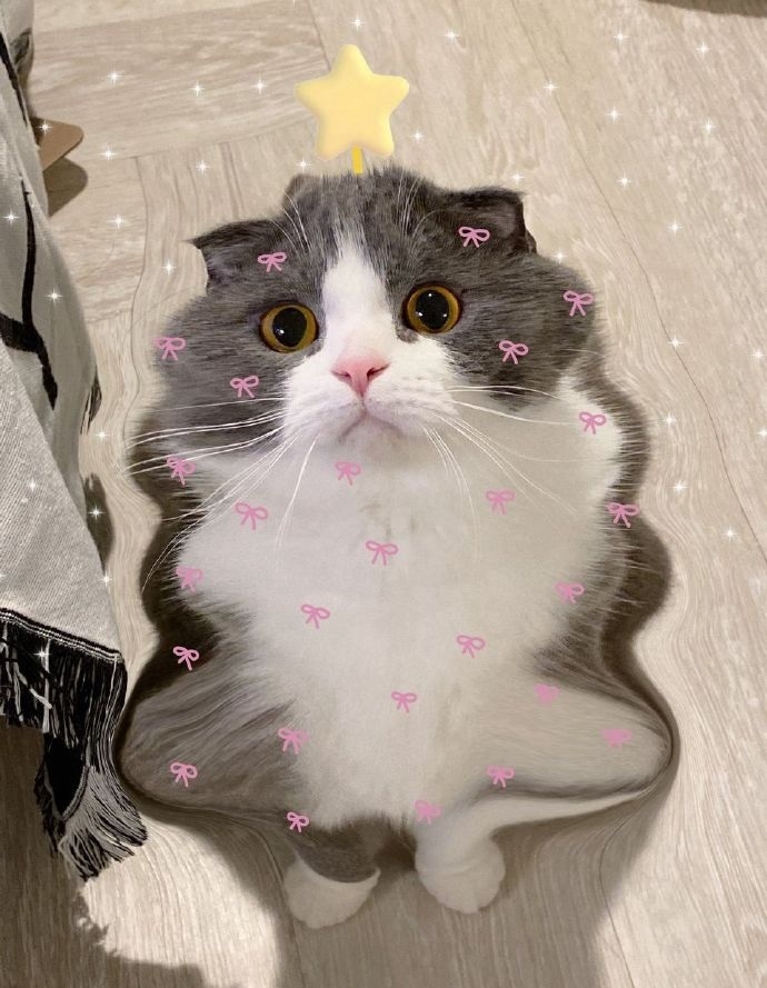 自己畫貓咪聖誕樹