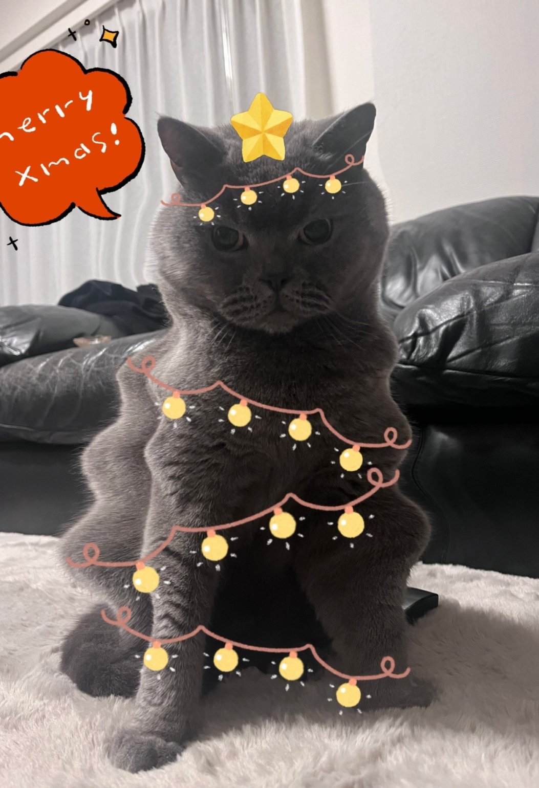 把貓咪畫成聖誕樹！日本網友流行起「貓咪聖誕樹」，免費又超萌, image size:1053x1540