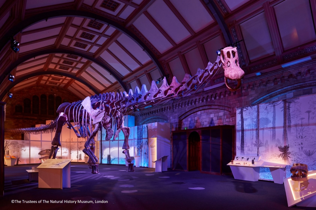 《史前巨獸 泰坦恐龍展》12月登場，將把世界最大級的37公尺長泰坦恐龍帶來台灣