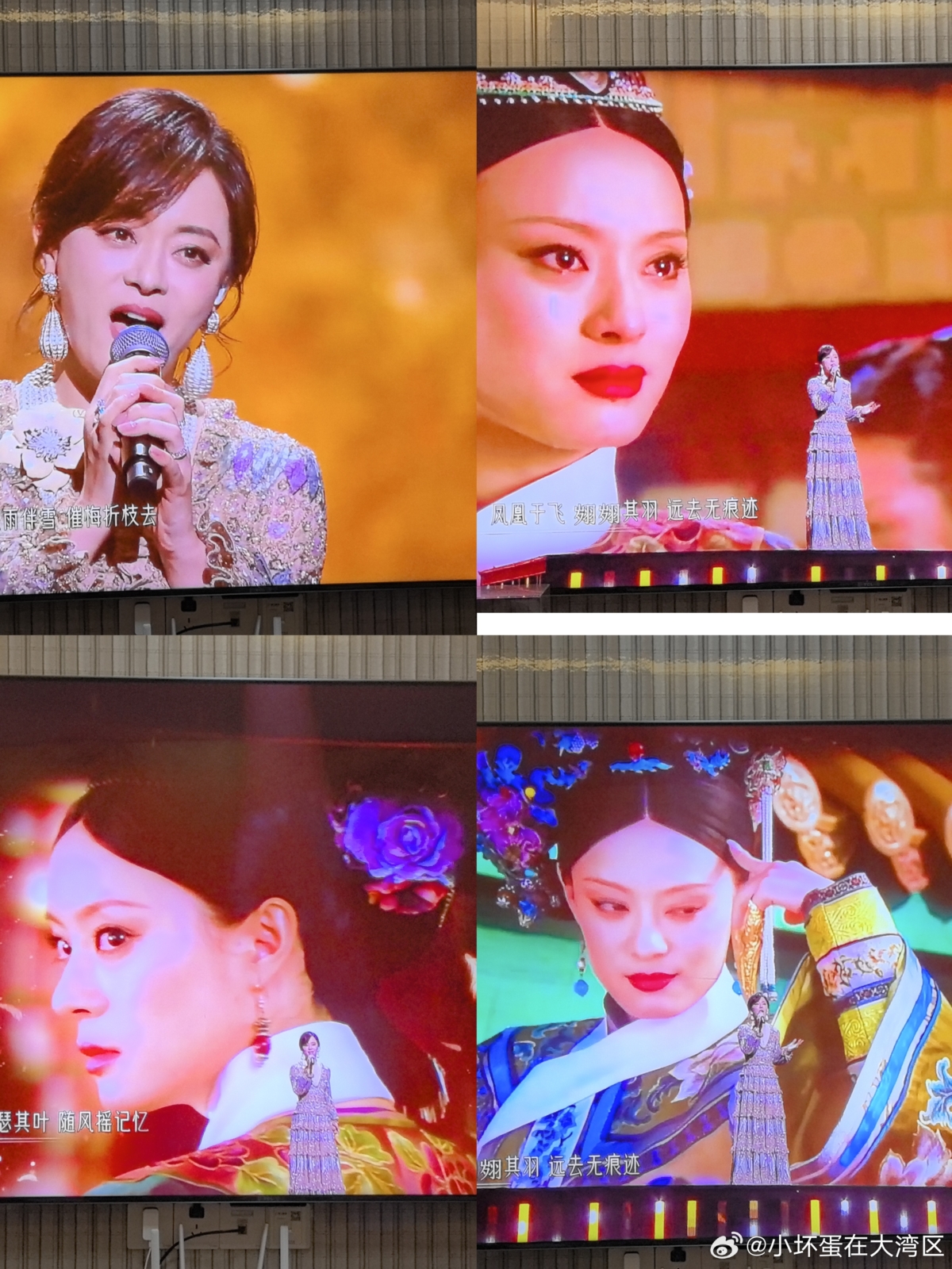 孫儷在《甄嬛愛不停──甄嬛傳小主節晚會》獻唱〈鳳凰于飛〉。