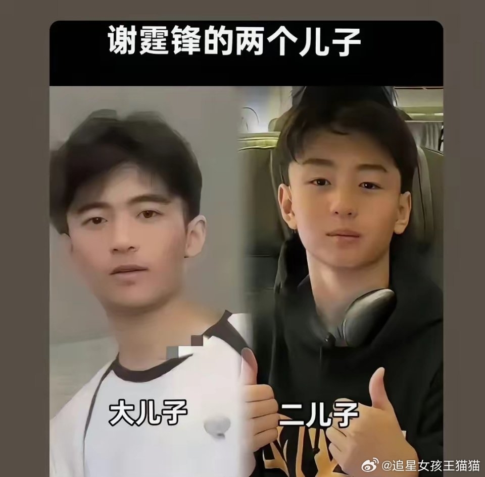 謝霆鋒與張柏芝的大兒子謝振軒Lucas、二兒子謝振南Quintus。