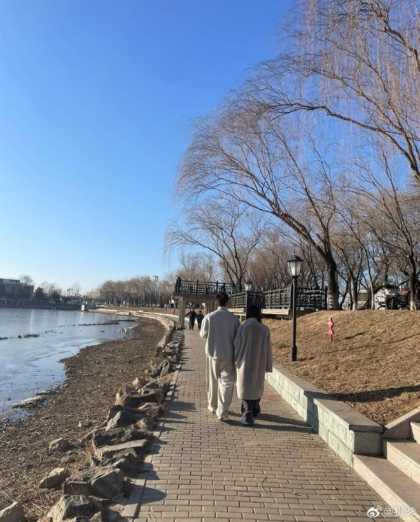 網友分享吳謹言、洪堯牽手散步背影照。