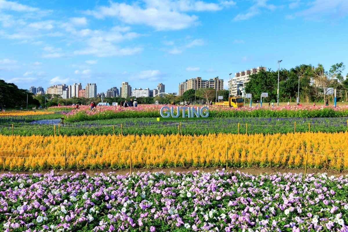 古亭河濱公園花海賞花季開始