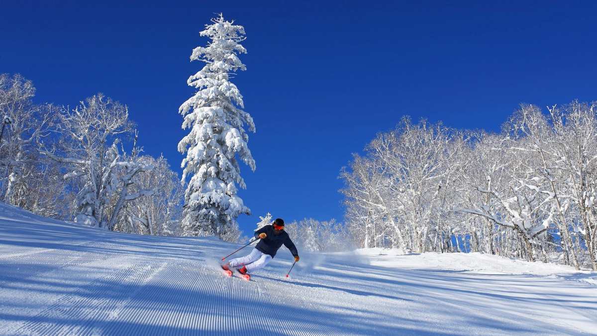 新富良野王子飯店鄰近雪場
