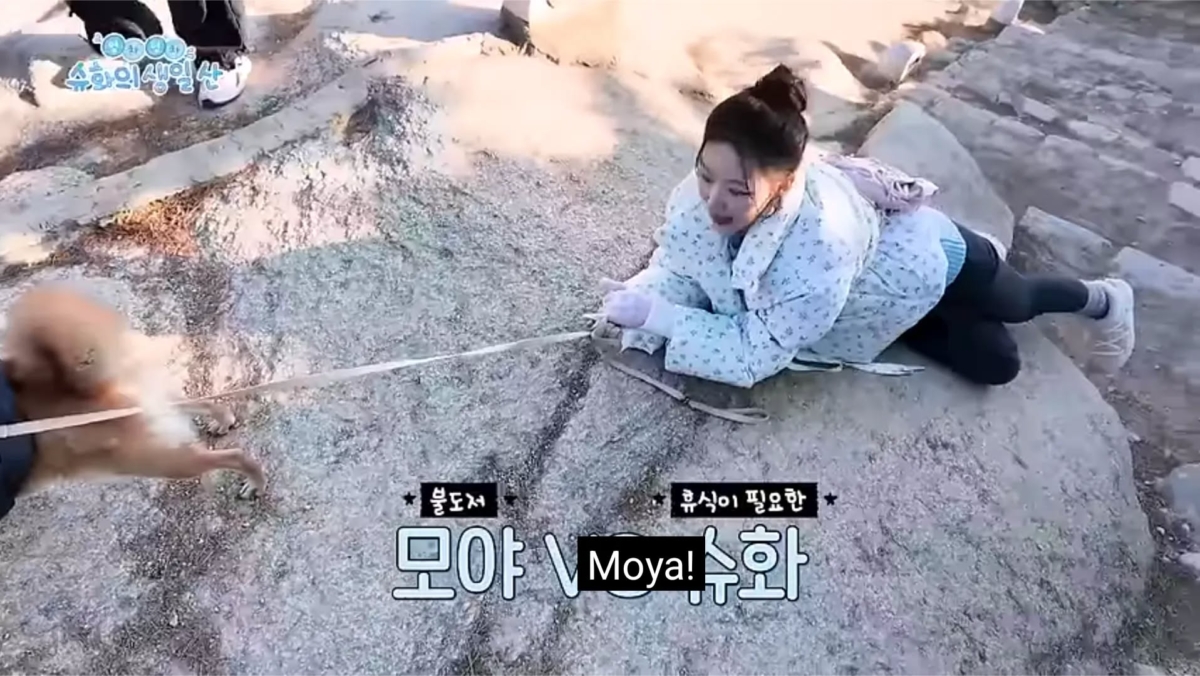 (G)I-DLE舒華被狗狗拖著走