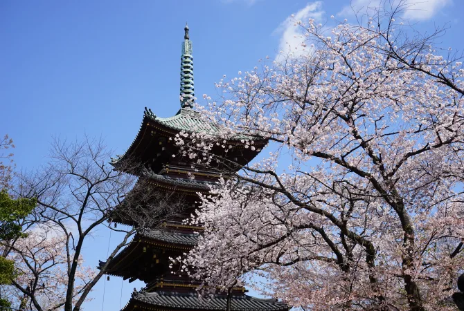 上野公園寬永寺