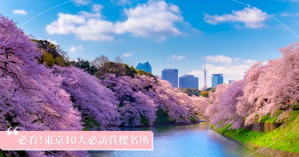 東京10大賞櫻景點推薦！新宿御苑/目黑川/千鳥淵/隅田公園交通方式、周邊景點一次看！