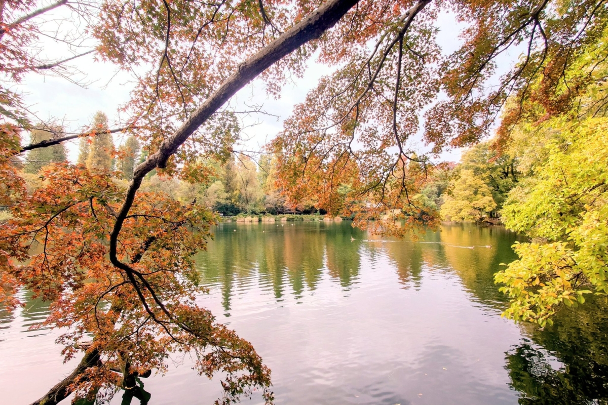 井之頭恩賜公園